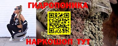 твердый Гусев